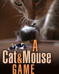 Игра в кошки-мышки (2019) смотреть онлайн